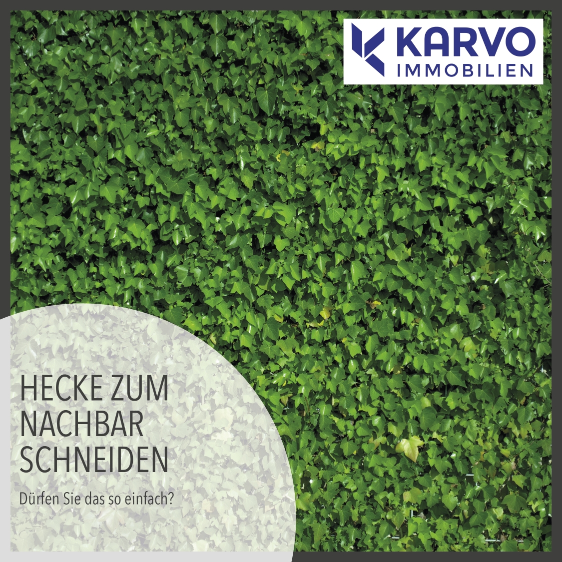 Hecke zum Nachbar schneiden, oder nicht?
